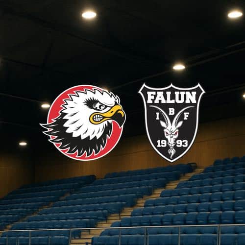 Storvreta falun loggor