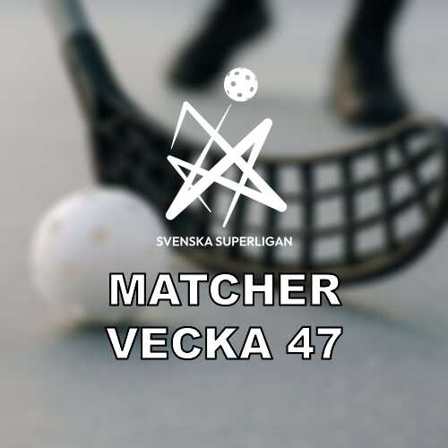 Vecka 47 i ssl damer omgang 10 11 med skanederby och toppmoten