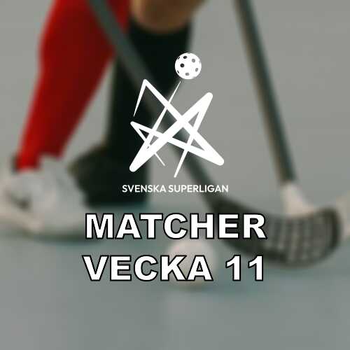 Ssl herrar vecka 11 omgang 26 med seedning och nedflyttning i spel