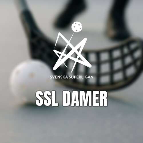 Uppgifter internt missnoje i ssl laget vasteras ronnby
