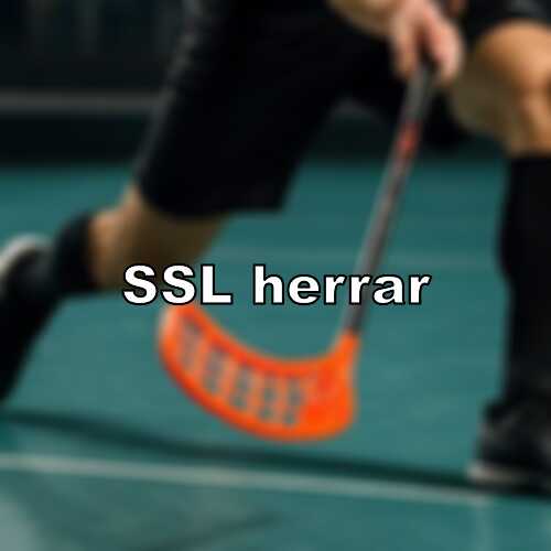 Vaxjo vipers duon saknas i ssl viktigaste ar att han mar bra